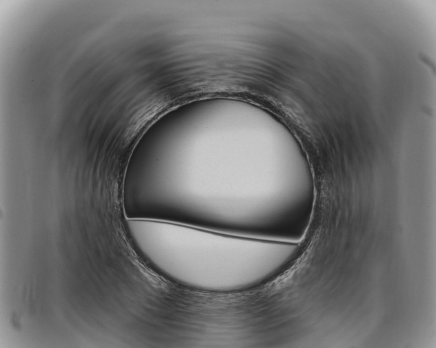 X0000097290881200802151056
