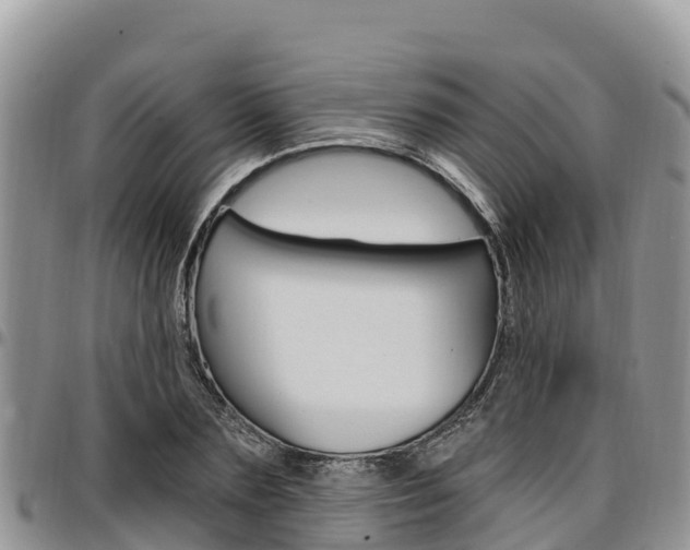 X0000097290883200802151056