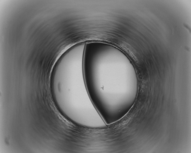 X0000097290884200802151056