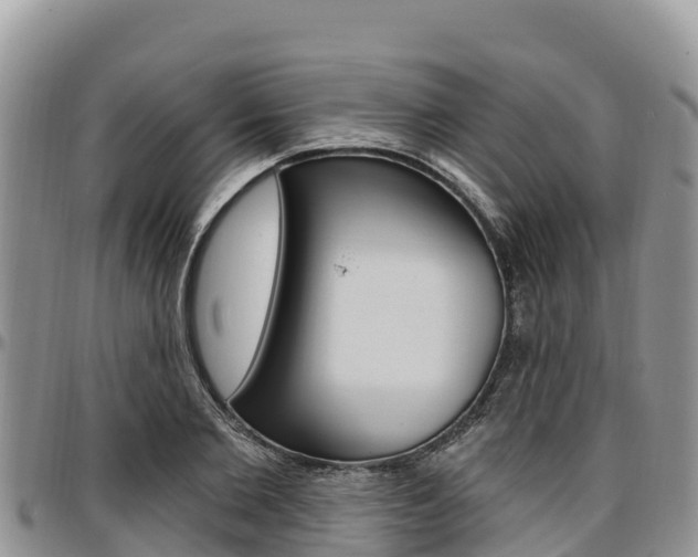 X0000097290885200802151056