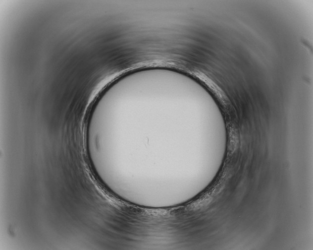 X0000097290886200802151056