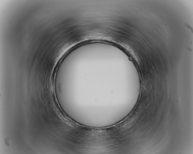 X0000097290887200802151056