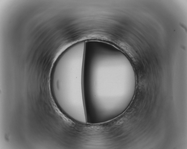X0000097290888200802151056