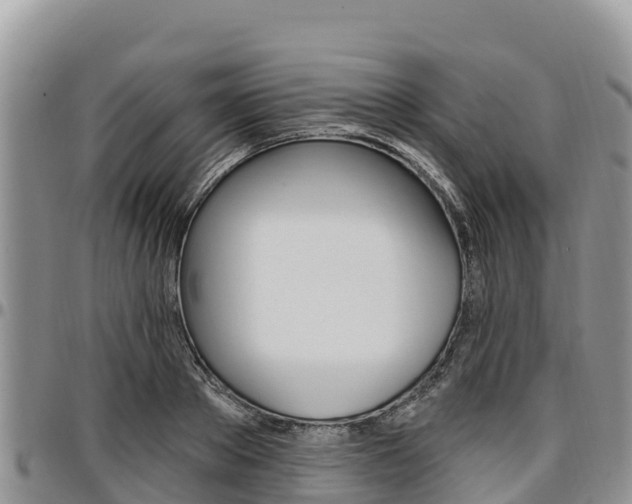 X0000097290889200802151056