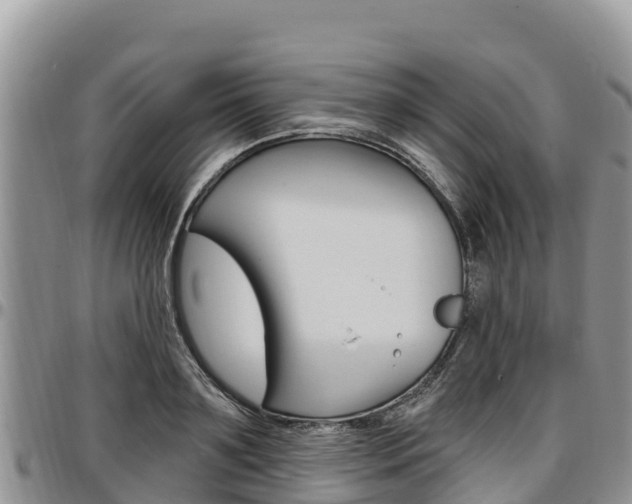 X0000097290891200802151056
