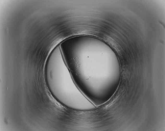 X0000097290892200802151056