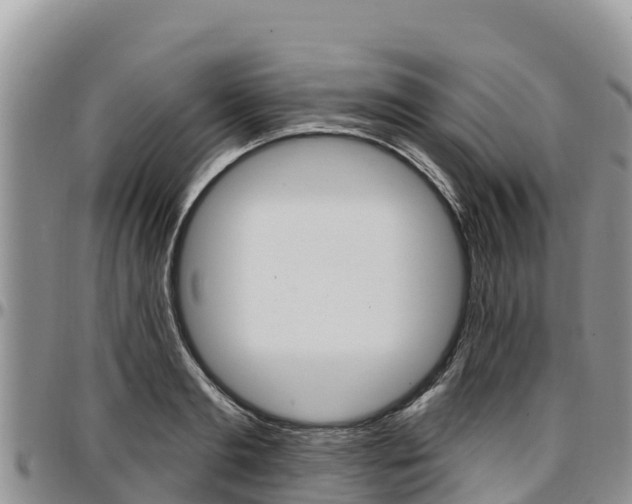 X0000097290893200802151056