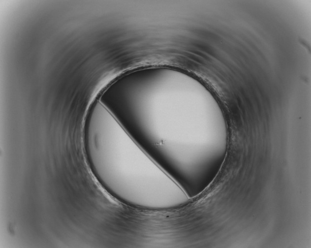 X0000097290894200802151056