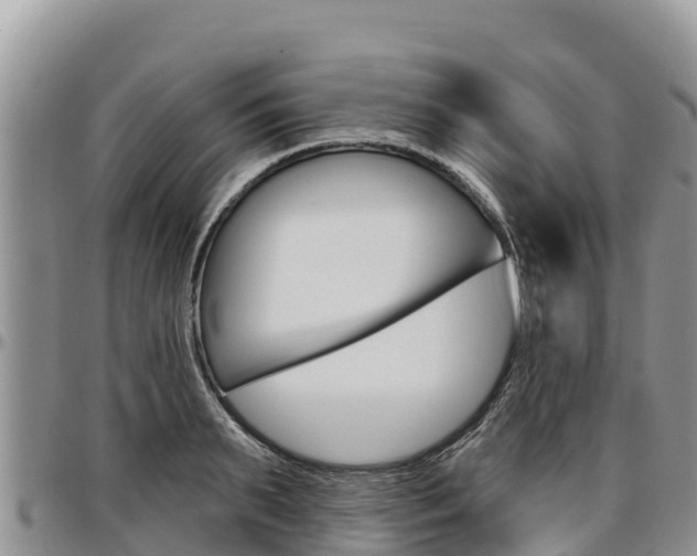 X0000097290895200802151056