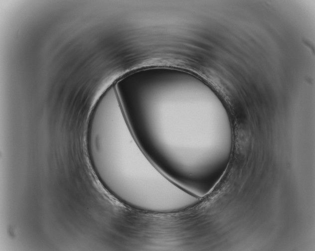 X0000097290896200802151056