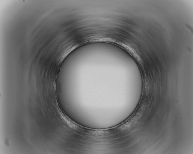 X0000097290897200802151056