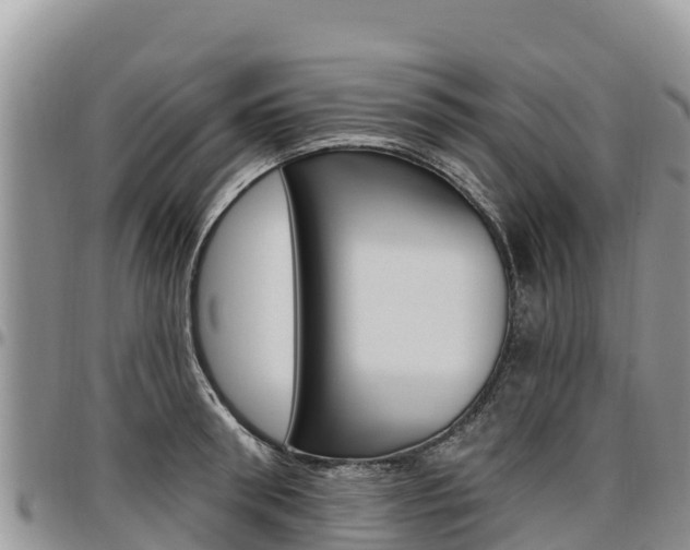 X0000097290898200802151056