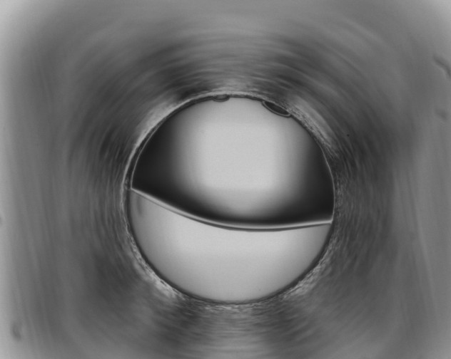 X0000097290900200802151056