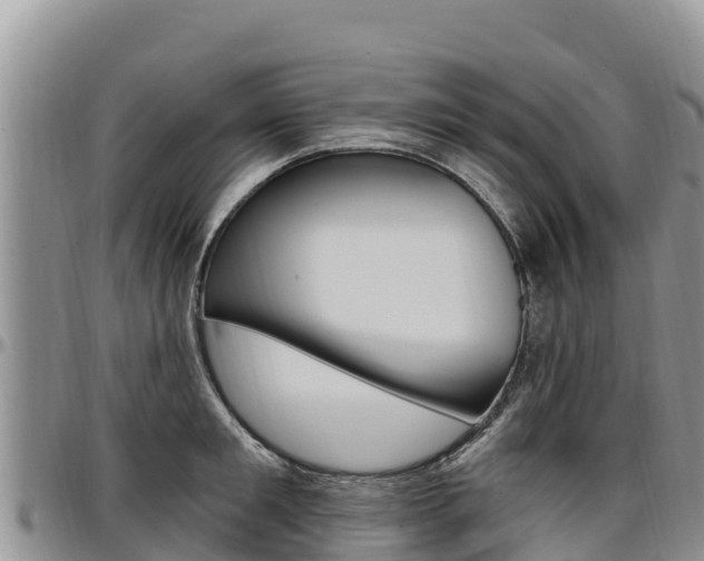 X0000097290901200802151056