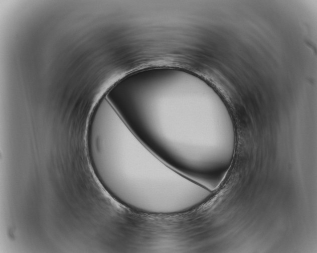 X0000097290902200802151056