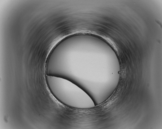 X0000097290903200802151056