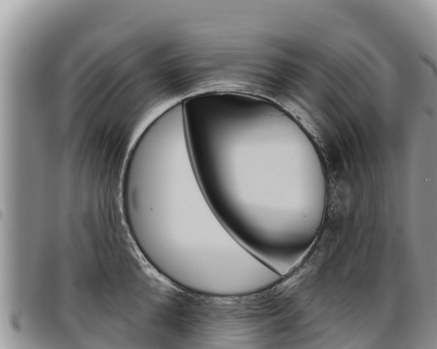 X0000097290904200802151056