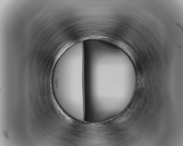X0000097290906200802151056