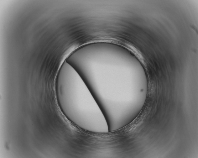 X0000097290907200802151056