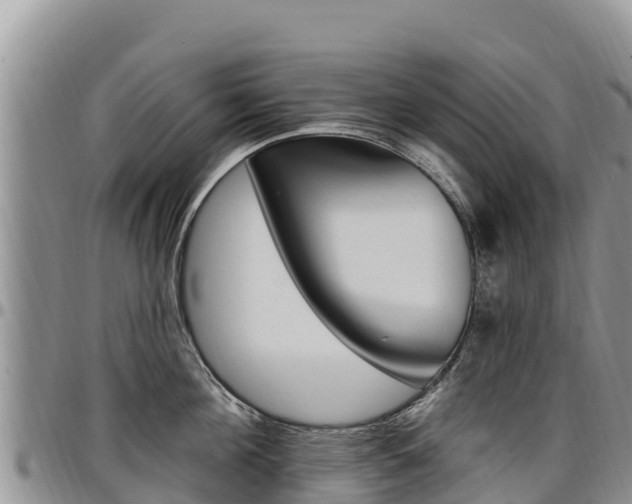 X0000097290908200802151056