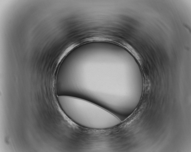 X0000097290909200802151056