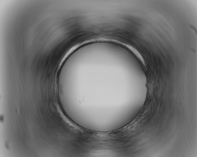 X0000097290911200802151056