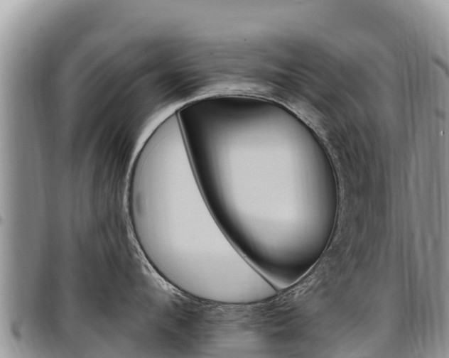 X0000097290912200802151056