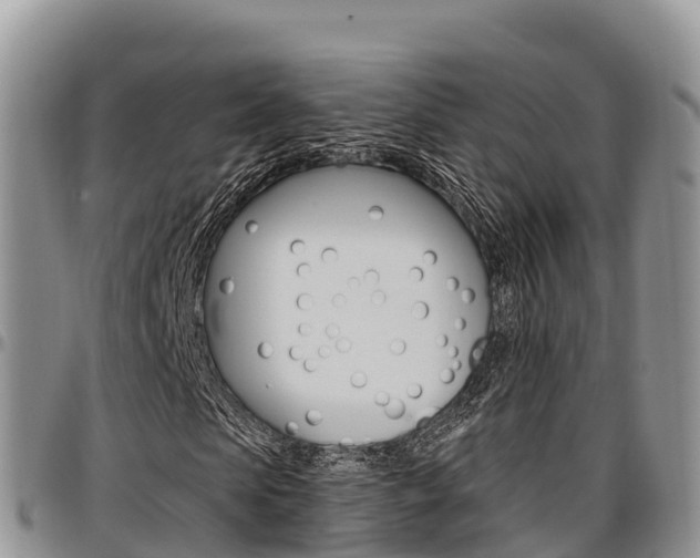 X0000097290913200802151055