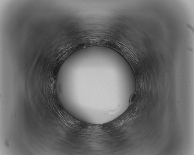 X0000097290914200802151055