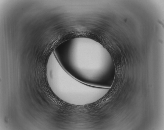 X0000097290916200802151055