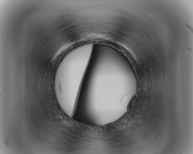 X0000097290919200802151055
