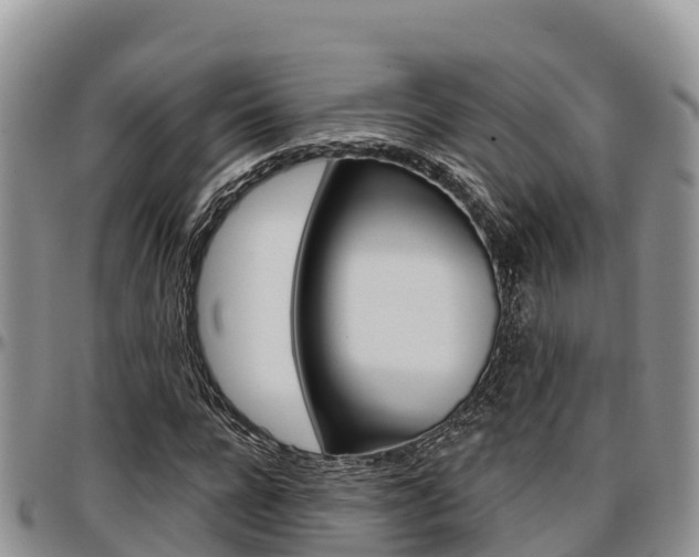 X0000097290920200802151055