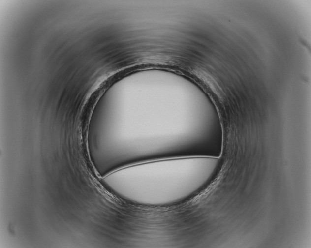 X0000097290923200802151055