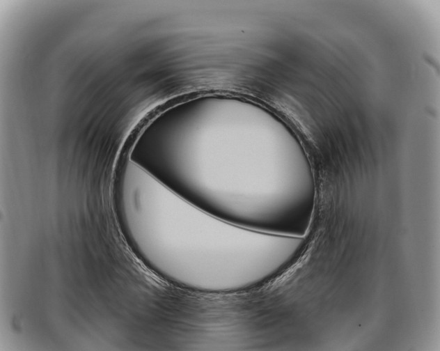 X0000097290924200802151055