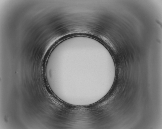 X0000097290926200802151055