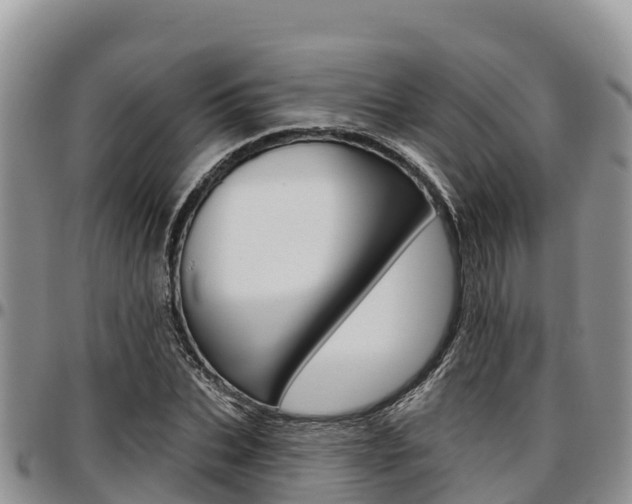 X0000097290927200802151055
