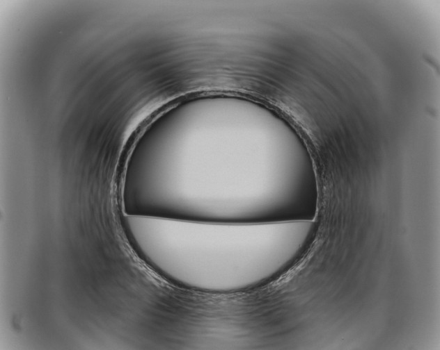 X0000097290928200802151055
