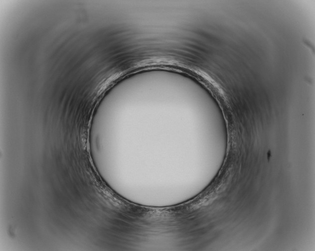 X0000097290929200802151055