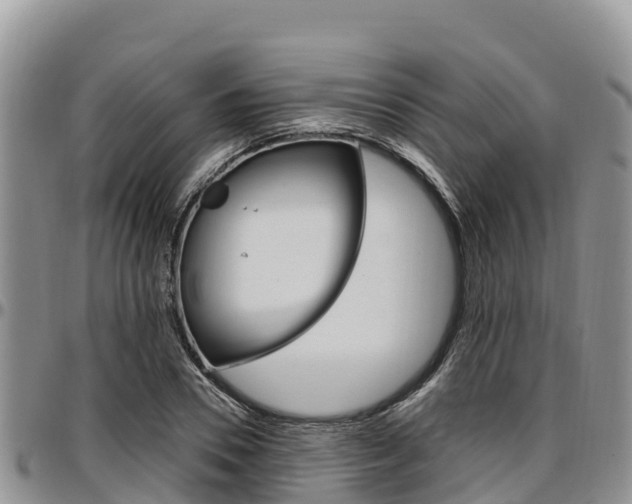 X0000097290930200802151055