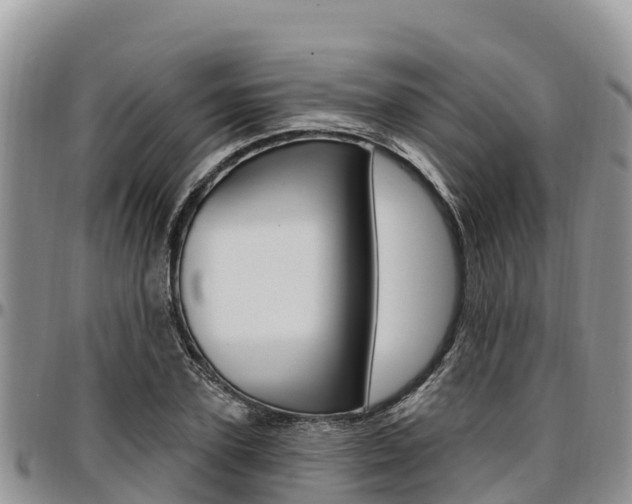 X0000097290931200802151055