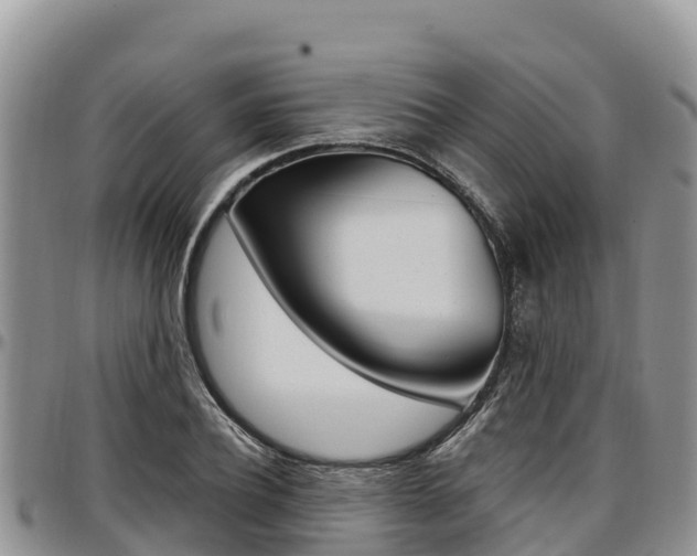 X0000097290932200802151055