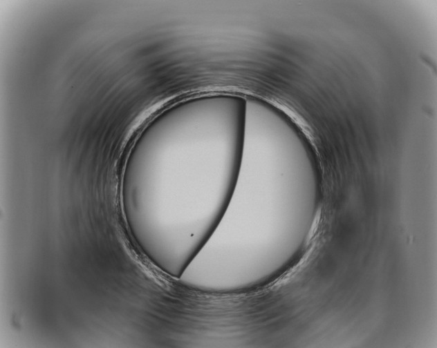 X0000097290933200802151055