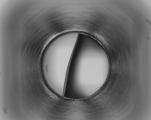 X0000097290934200802151055