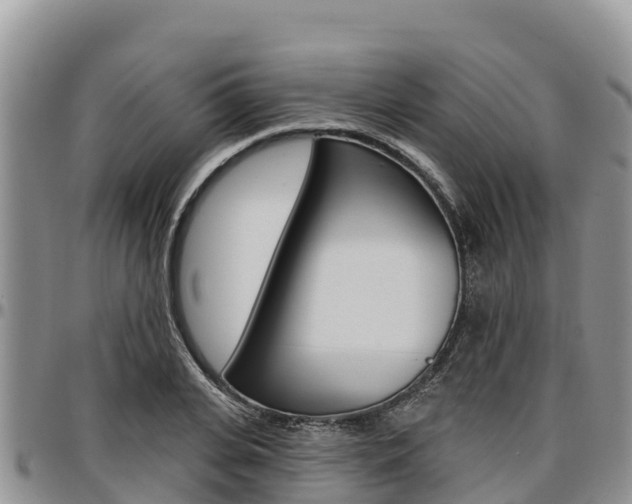 X0000097290935200802151055