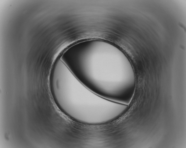 X0000097290936200802151055