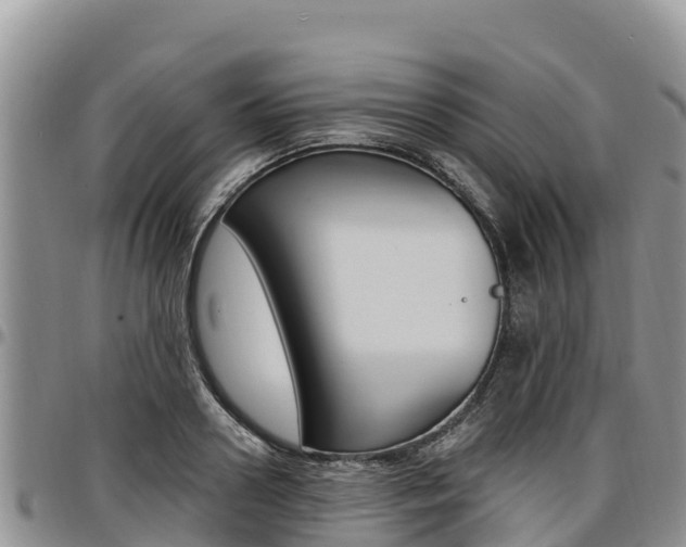 X0000097290938200802151055