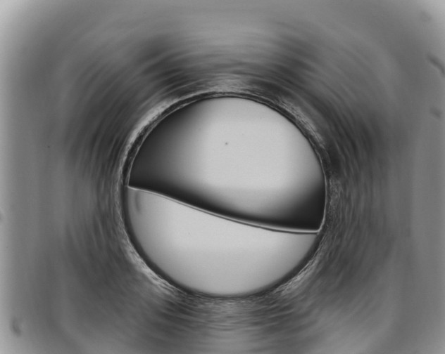 X0000097290939200802151055