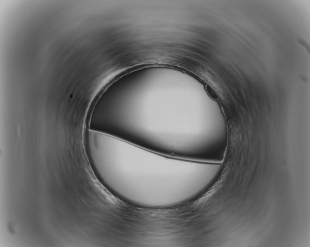 X0000097290940200802151055