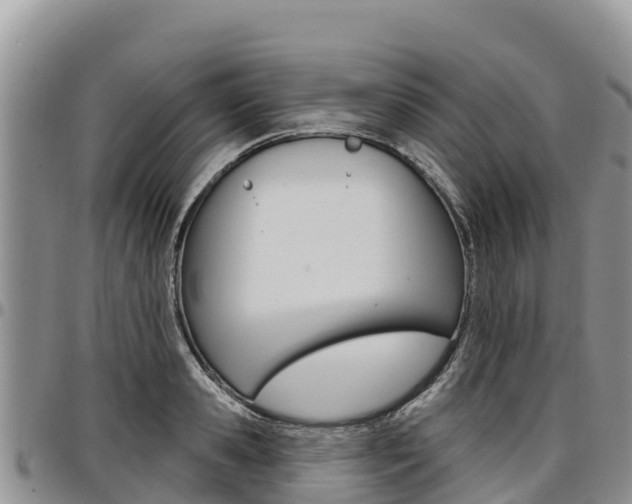 X0000097290941200802151055