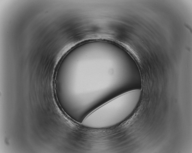 X0000097290943200802151055